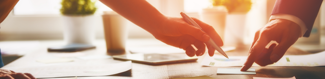 Волки баня в агроусадьбе